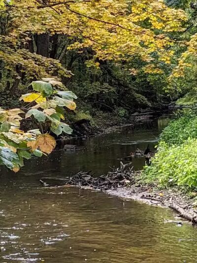 Bennett Park - Charlotte,