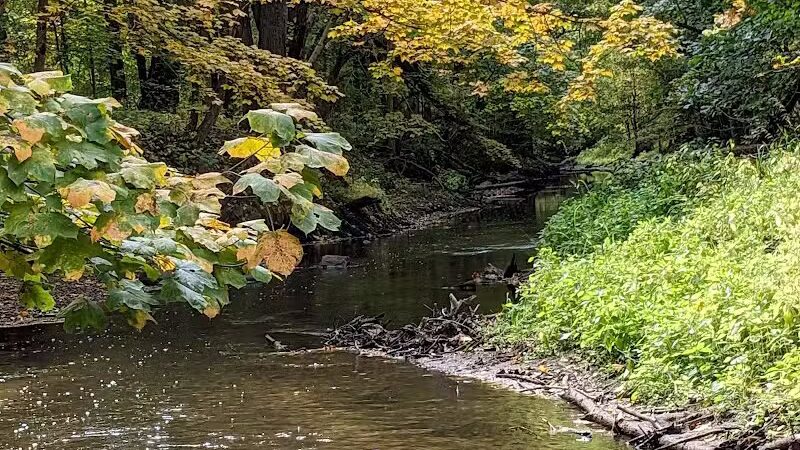 Bennett Park - Charlotte,