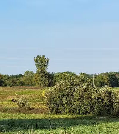 Crandell Park - Charlotte,