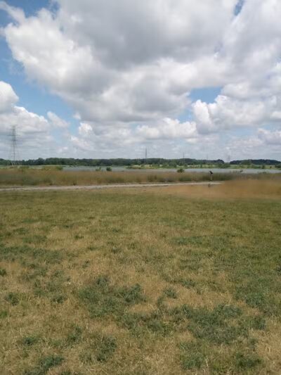 Crandell Park - Charlotte,