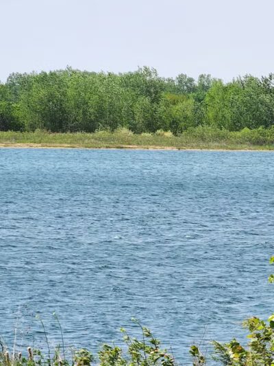 Crandell Park - Charlotte,