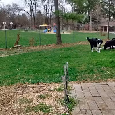 Dean Park - Charlotte,