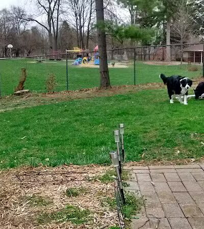 Dean Park - Charlotte,