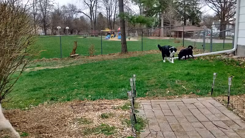 Dean Park - Charlotte,