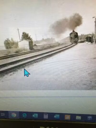 Eaton County Animal Control - Charlotte,