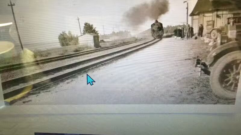 Eaton County Animal Control - Charlotte,