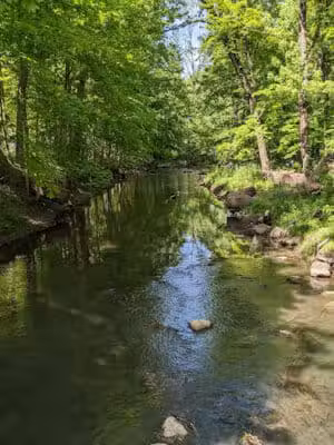 Bennett Park - Charlotte,