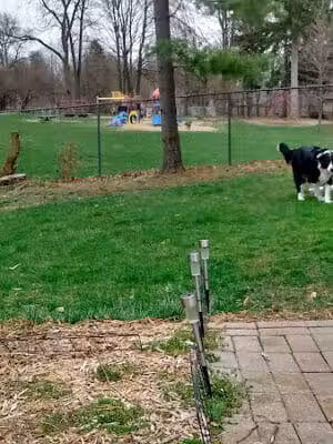 Dean Park - Charlotte,