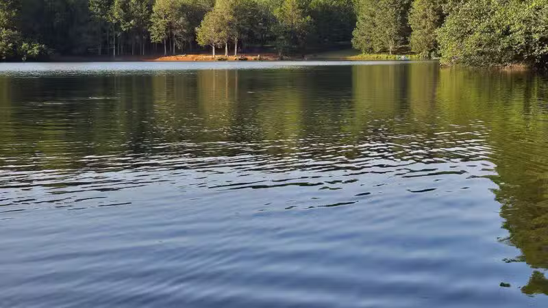 Chris Greene Lake Park - Charlottesville, VA