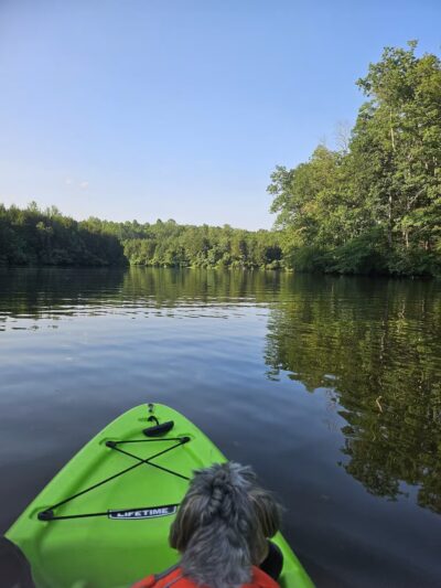 Chris Greene Lake Park - Charlottesville, VA