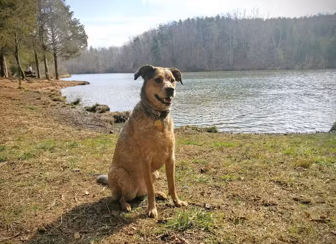Chris Greene Lake Park - Charlottesville, VA