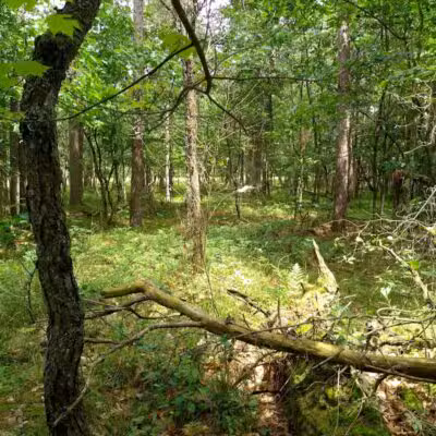 Chase Roadside Park - Chase,