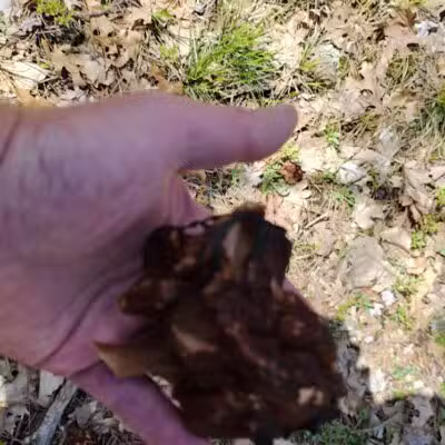 Chase Roadside Park - Chase,