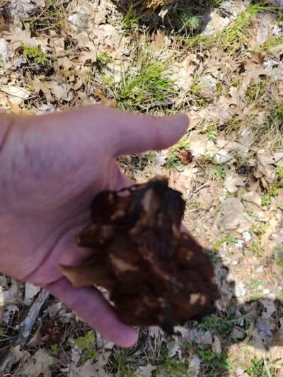 Chase Roadside Park - Chase,