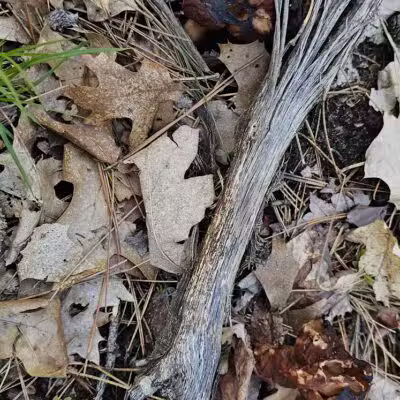 Chase Roadside Park - Chase,