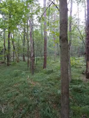 Chase Roadside Park - Chase,