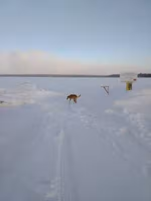 Chassell Township Centennial Park - Chassell,