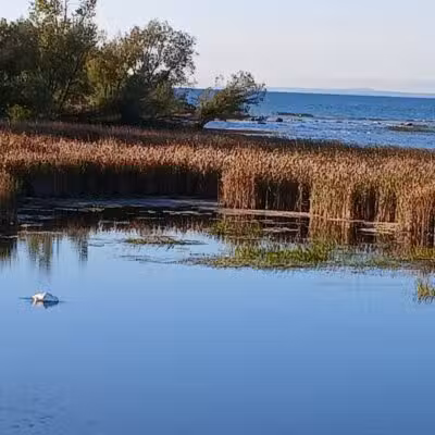 Gordon Turner Park, Cheboygan, MI - Cheboygan,