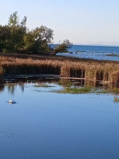 Gordon Turner Park, Cheboygan, MI - Cheboygan,
