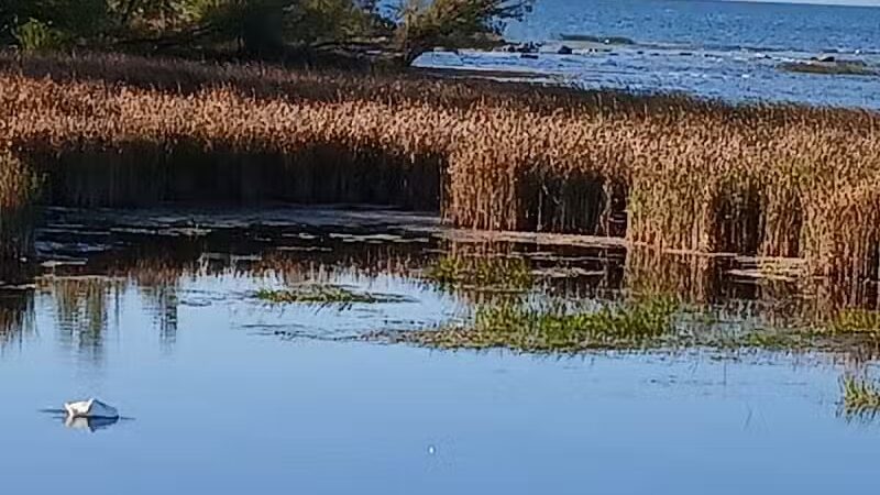 Gordon Turner Park, Cheboygan, MI - Cheboygan,