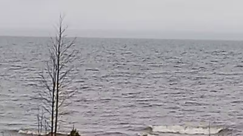 MDOT Roadside Park - Cheboygan, MI
