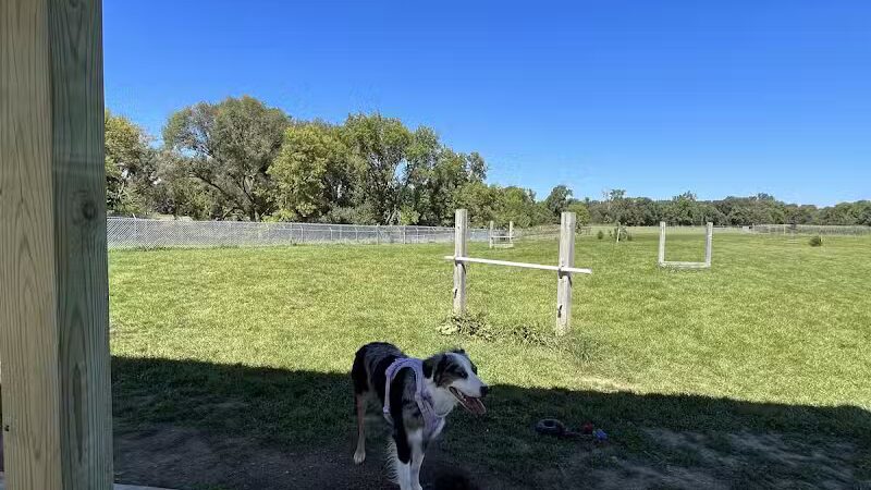 City of Chelsea Dog Park - Chelsea, MI