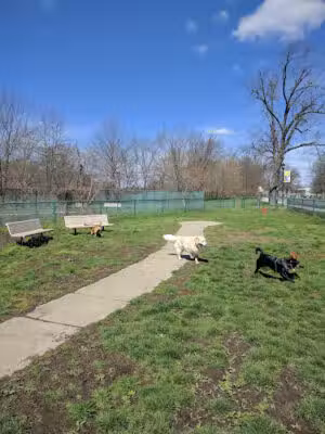 Cooper River Dog Park - Cherry Hill Township, NJ