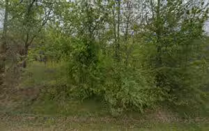 Birding and Wildlife Trail - Chesaning, MI
