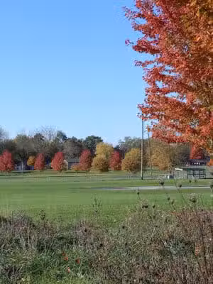 Showboat Park - Chesaning, MI