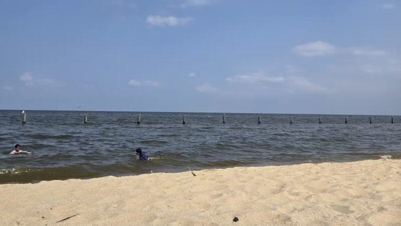 Breezy Point Beach & Campground - Chesapeake Beach, MD