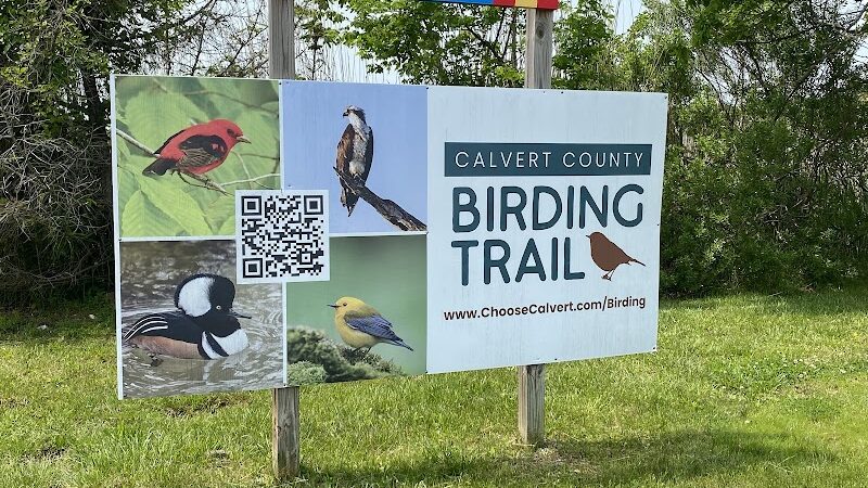 Chesapeake Beach Railway Trail Trailhead - Chesapeake Beach, MD