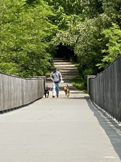 Chesapeake Beach Railway Trail Trailhead - Chesapeake Beach, MD
