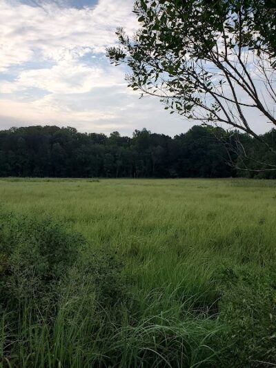 Fishing Creek, Chesapeake Beach Maryland - Chesapeake Beach, MD