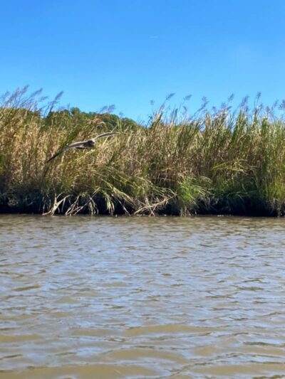 Fishing Creek, Chesapeake Beach Maryland - Chesapeake Beach, MD