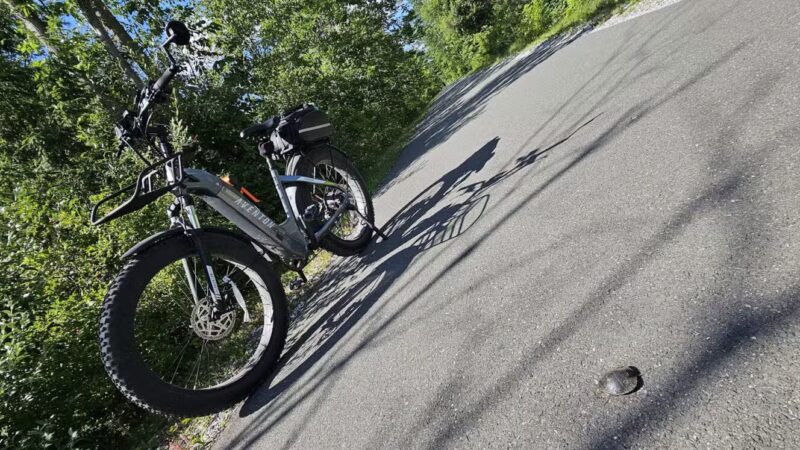 Ashuwillticook Rail Trail - Cheshire, MA