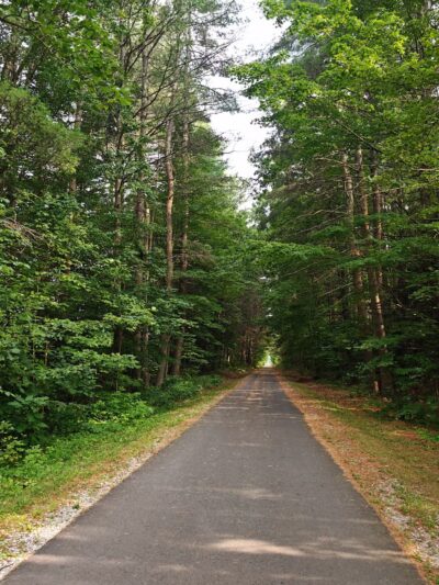 Ashuwillticook Rail Trail - Cheshire, MA