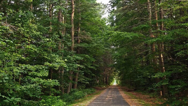 Ashuwillticook Rail Trail - Cheshire, MA