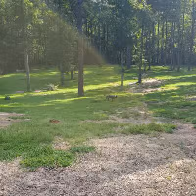 Chester Dog Park - Chester, VA