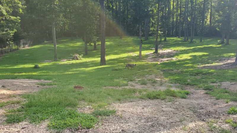 Chester Dog Park - Chester, VA