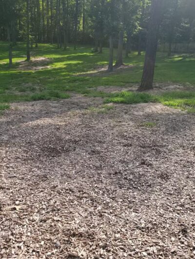 Chester Dog Park - Chester, VA