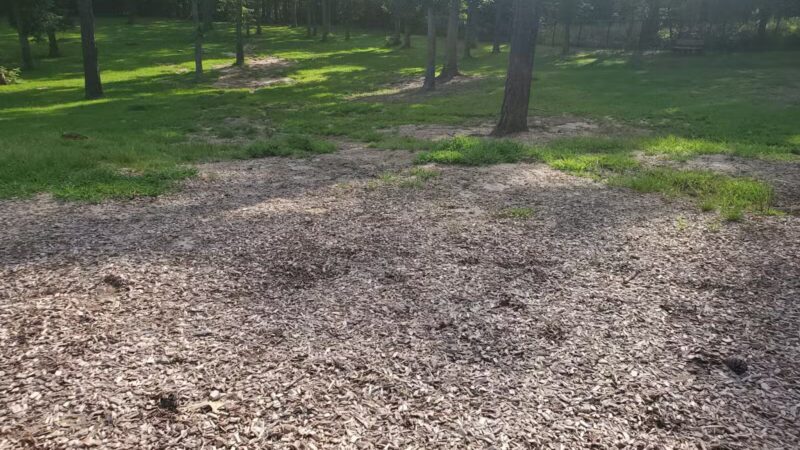 Chester Dog Park - Chester, VA