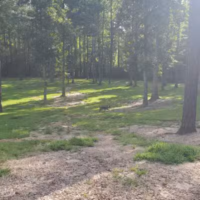 Chester Dog Park - Chester, VA