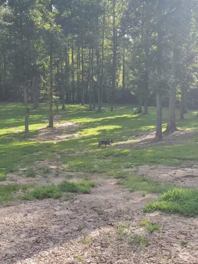 Chester Dog Park - Chester, VA