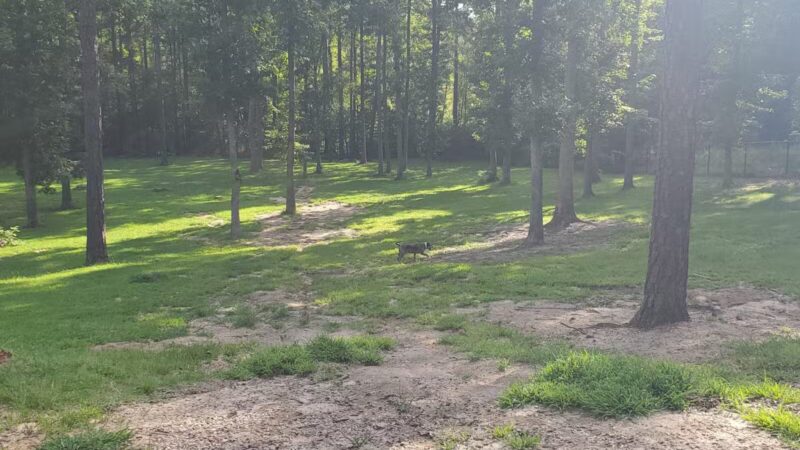 Chester Dog Park - Chester, VA