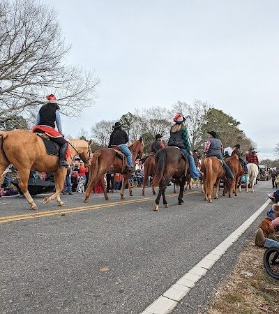 Lowrys Community Park - Chester, SC