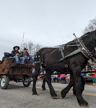 Lowrys Community Park - Chester, SC