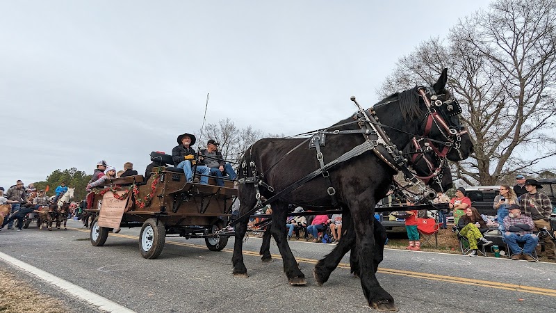 Lowrys Community Park - Chester, SC