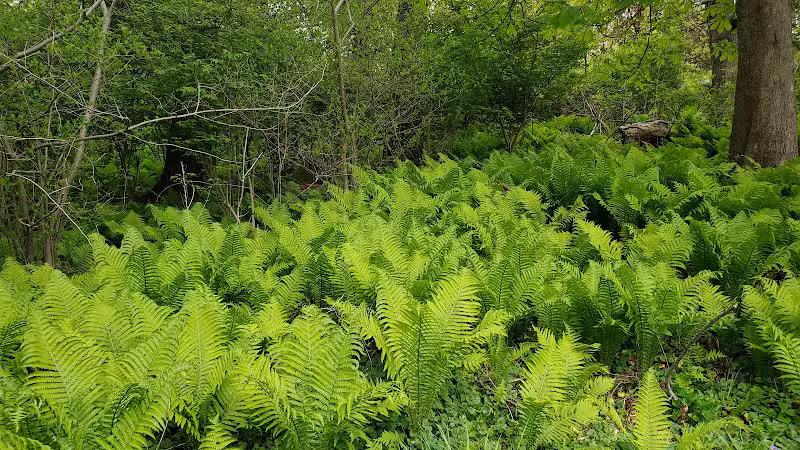 Andrew Evans Park - Chester Springs, PA