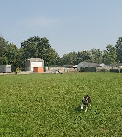 Chesterfield dog park - Chesterfield, IN