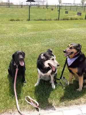 Brandenburg Park - Chesterfield,